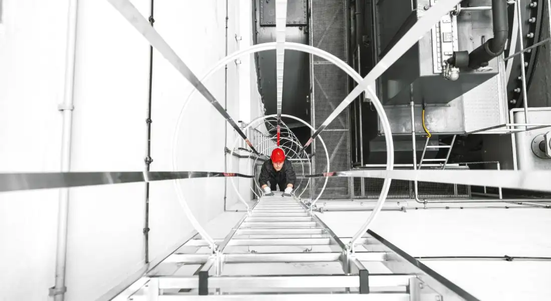 Escalera Marina Precio